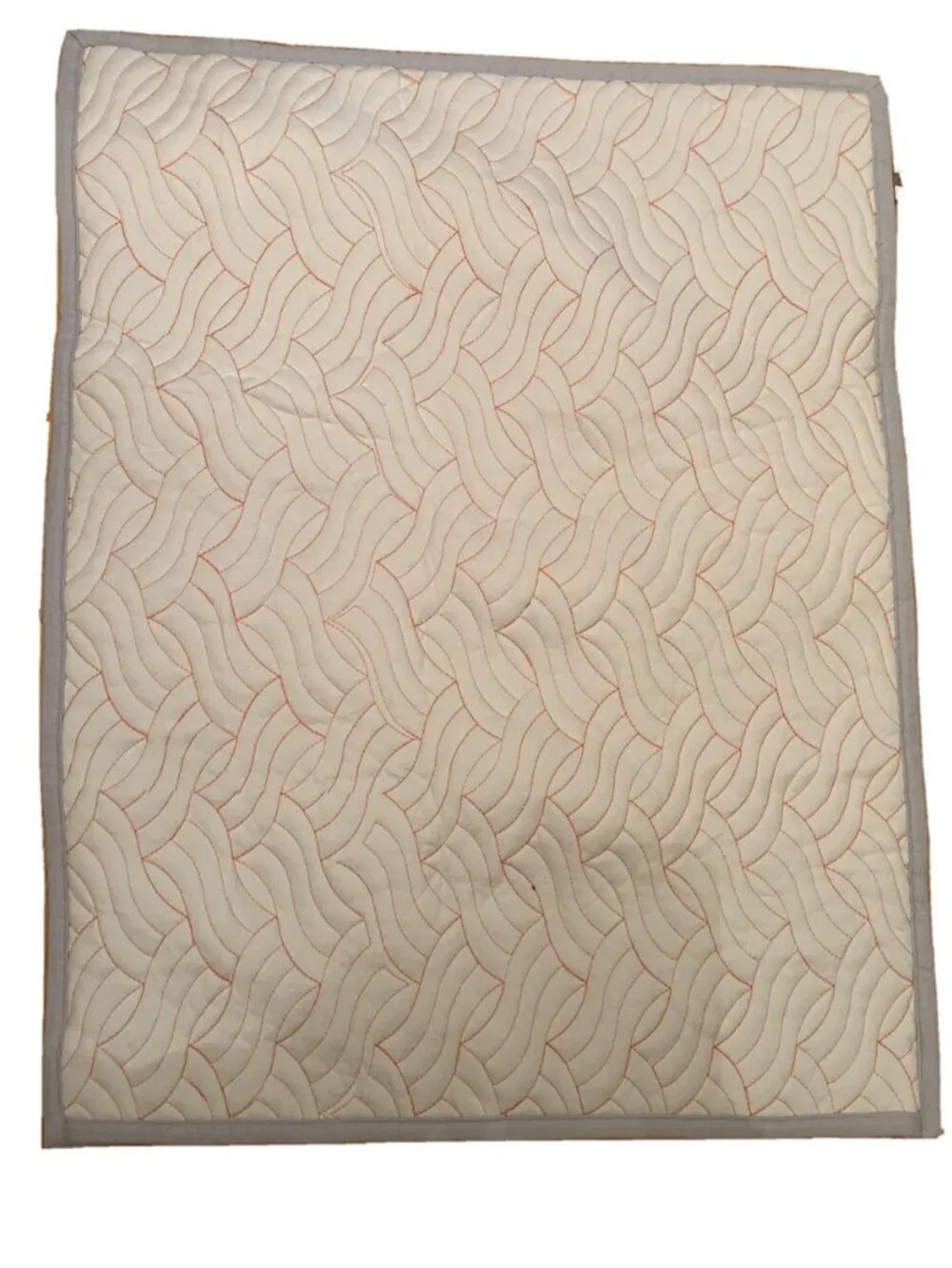 Anthropologie Embroidered Light Blue Ainsley Standard Sham Textured Quilted NEW